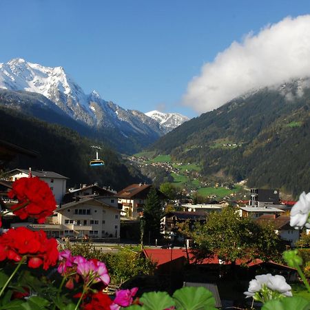 Haus Tasser Daire Mayrhofen Dış mekan fotoğraf